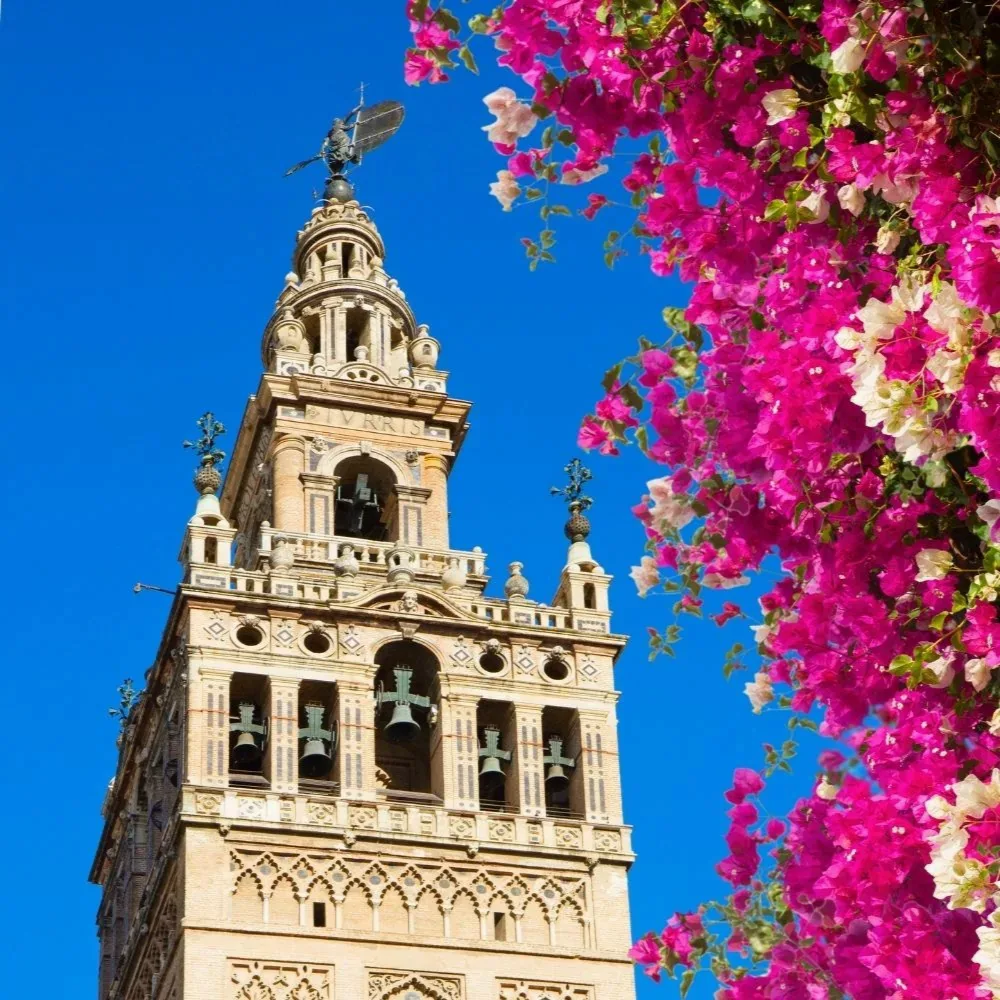 Sevilla fotoğraf 5