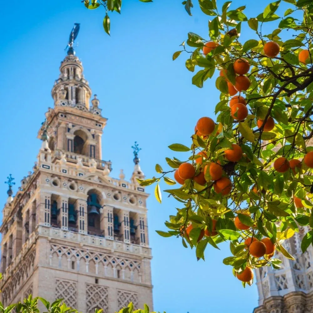 Sevilla fotoğraf 6