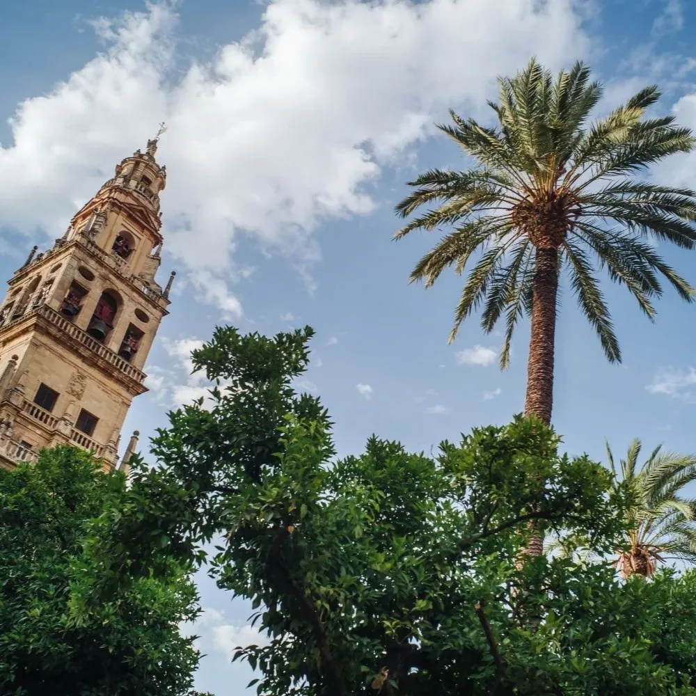 Cordoba fotoğraf 4