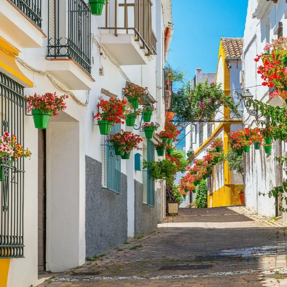 Malaga fotoğraf 4